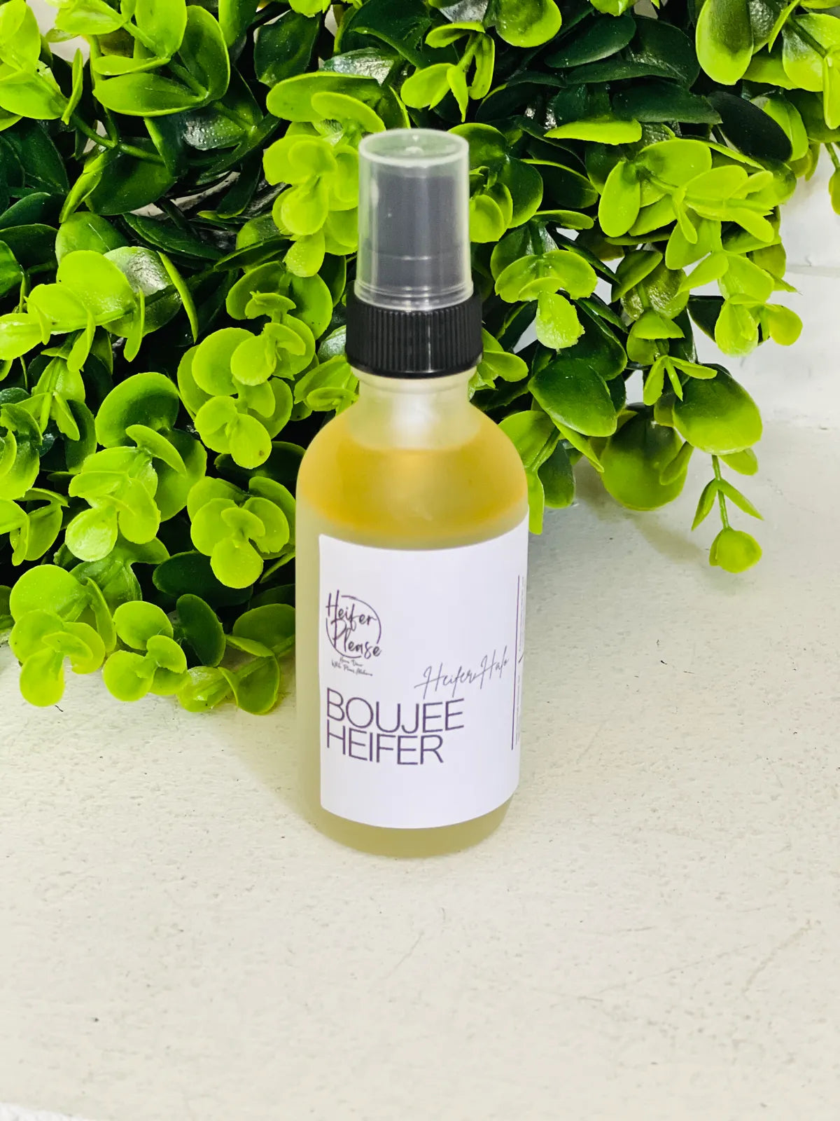 Heifer Home | Heifer Halo